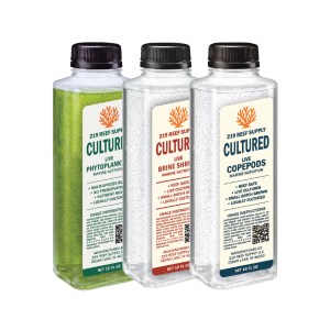 Nutrition Starter Bundle