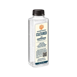Copepods - Tisbe (16oz)
