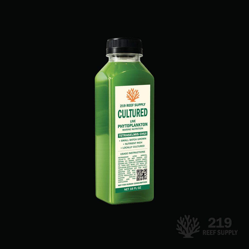 Tetraselmis Chui