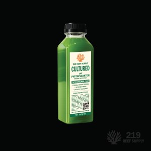 Phyto - Tetraselmis Chui (16oz)
