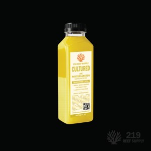 Phyto - Tisochrysis Lutea (16oz)